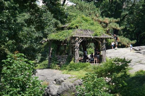 Baumhaus mitten im Central Park